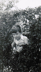 Cette année-là : 1953