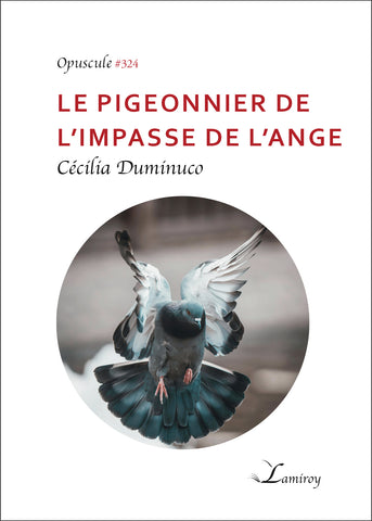 Le pigeonnier de l’Impasse de l’Ange #324