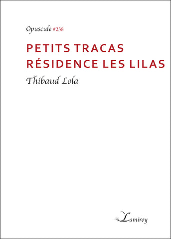 Petits tracas Résidence Les Lilas #238