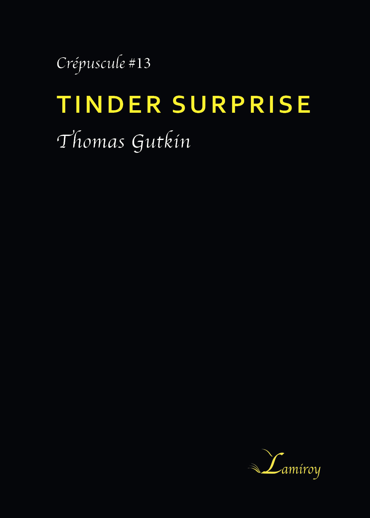 Tinder surprise C#13